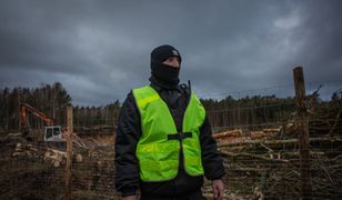 TYLKO W WP. Rżnąć, kopać, betonować. PiS dostał od Polaków zielone światło (BADANIE)