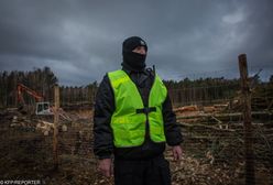 TYLKO W WP. Rżnąć, kopać, betonować. PiS dostał od Polaków zielone światło (BADANIE)