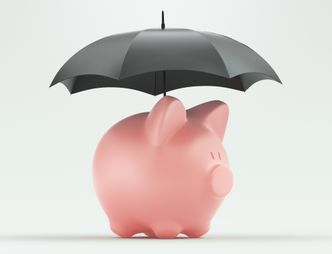 Pracownicze Plany Kapitałowe - na czym to polega? [Poradnik]