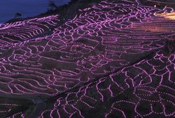 Japonia - pola ryżowe podświetlone w nocy!