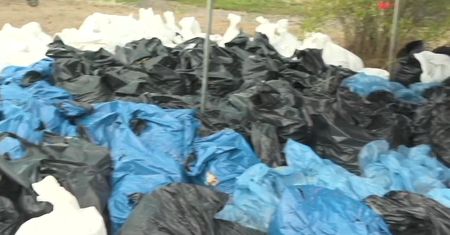 Żołnierze Wojsk Obrony Terytorialnych wspierają straż pożarną w oczyszczaniu Odry ze śniętych ryb