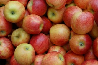 Ceny jabłek oszalały. Wzrost o ponad 20 procent!