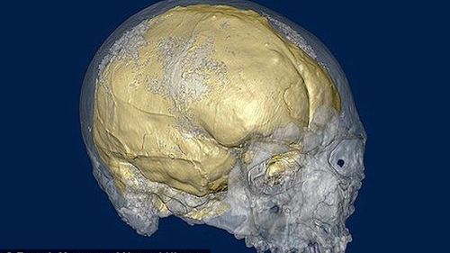 Ludzki mózg zmniejsza się niczym komputer 1