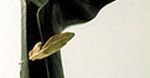 Siedmiu wspaniałych laureatów NIKE