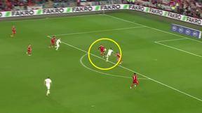 Fenomenalna akcja Polaków! Ten gol dał zwycięstwo [WIDEO]