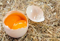 Jajka z podwójnym żółtkiem — czy nie powinniśmy ich jeść?