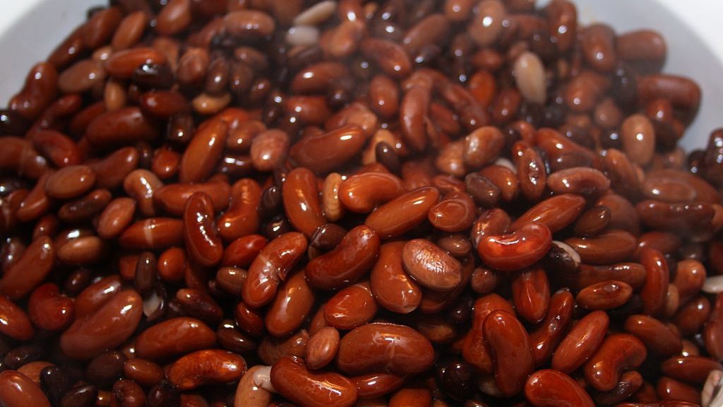 Gotowana mrożona fasola Pinto bez dodatku soli, odsączona