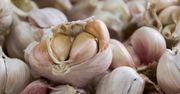 Czosnek polski a chiński. Jak odróżnić ten zdrowszy?