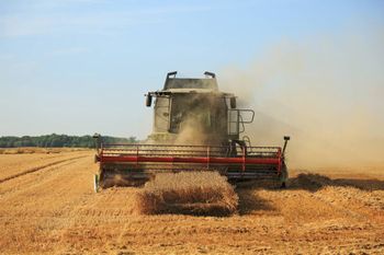 Rydzewo: Mężczyzna został przygnieciony przez kombajn do przyczepy