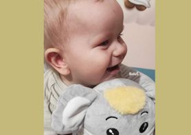 Boluś wciąż czeka na adopcję. Może trafić do DPS-u