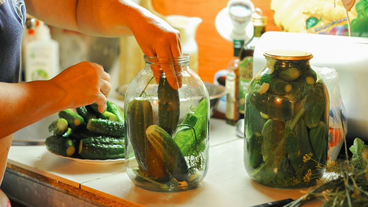 Co zrobić, żeby ogórki kiszone nie wyszły puste w środku?