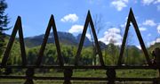 Zakopane: Śmiertelne pułapki na płotach. Zwierzęta giną w męczarniach