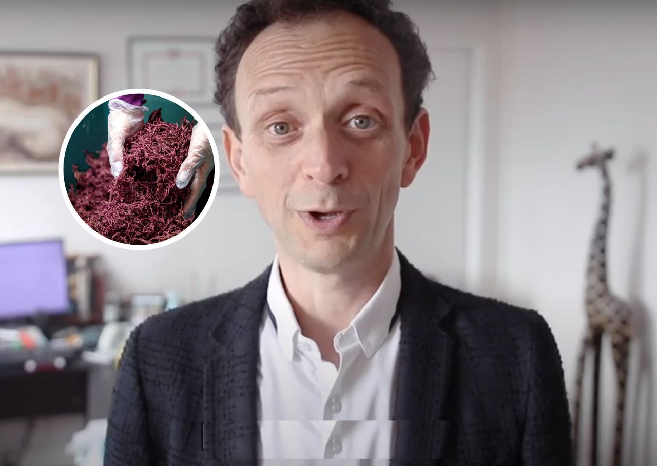 Odpowiednia dieta wspiera regenerację wątroby