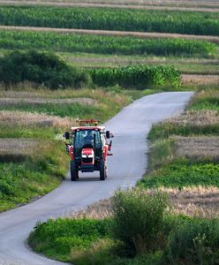 Jechali na ważną uroczystość. Zderzyli się czołowo z ciągnikiem