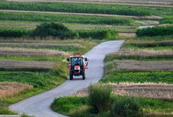 Jechali na ważną uroczystość. Zderzyli się czołowo z ciągnikiem