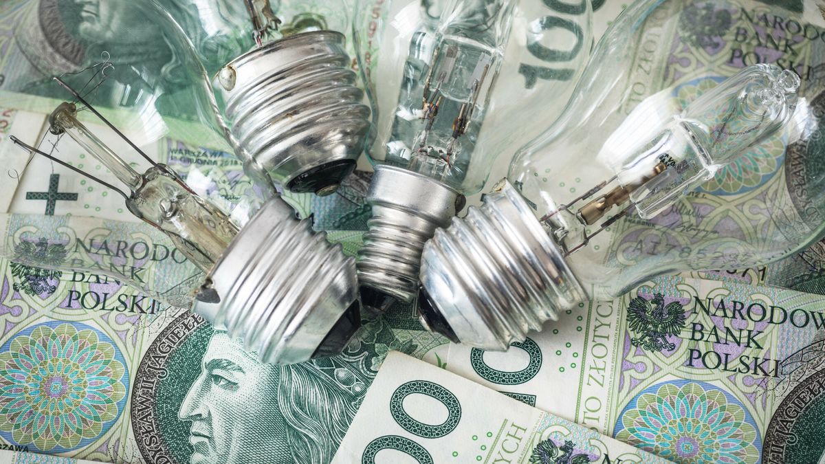 fot. Arkadiusz Ziółek/East News