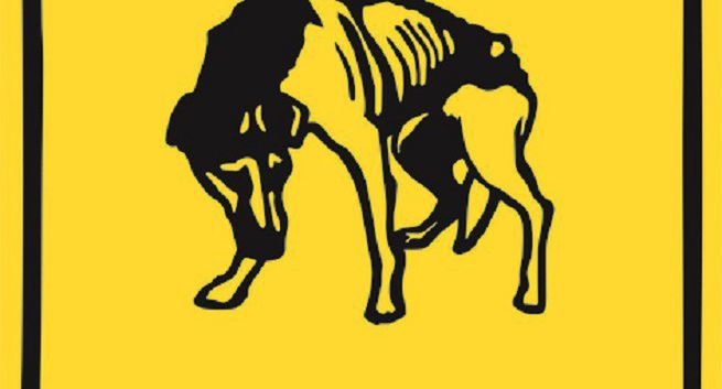 Rozstrzygnięto konkurs "Zwierzę też człowiek" AMS