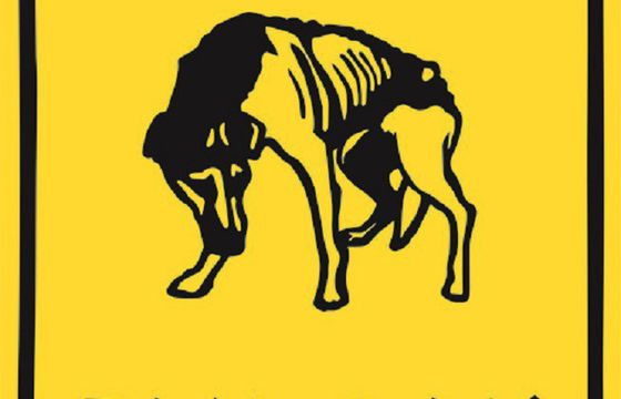 Rozstrzygnięto konkurs "Zwierzę też człowiek" AMS