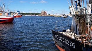 Przedsiębiorcy apelują do rządu o pieniądze dla Portu Kołobrzeg. "To inwestycja o znaczeniu państwowym".