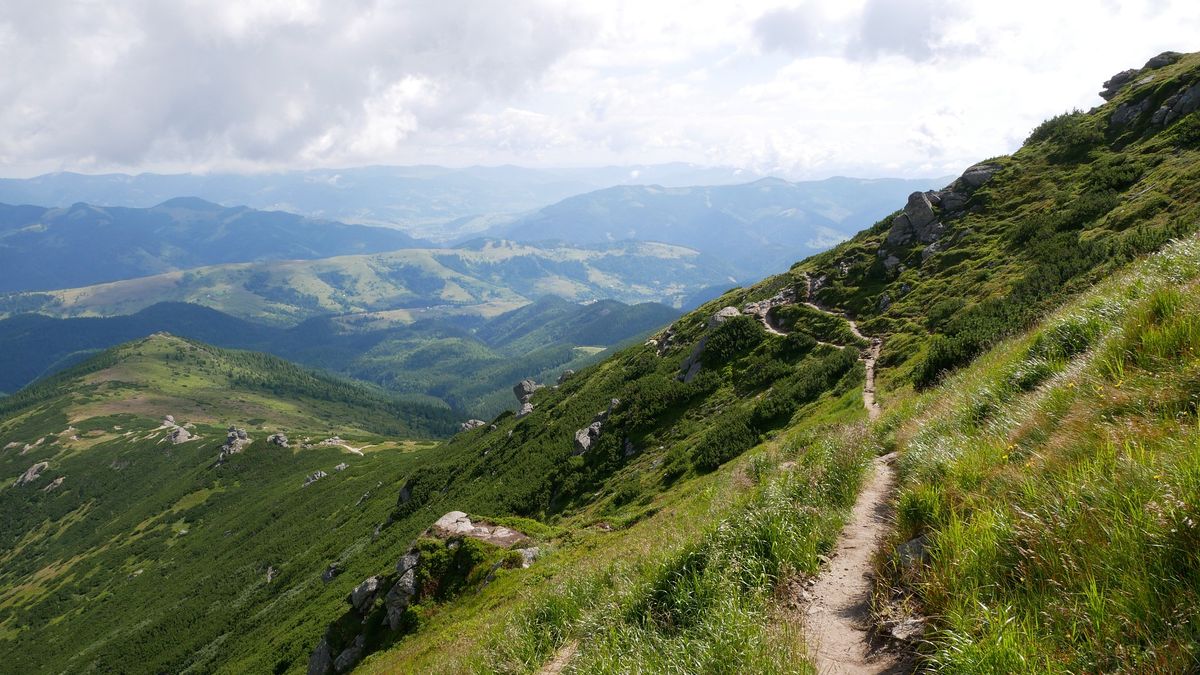 "Dzicy kanibale" polują na samotnych turystów?