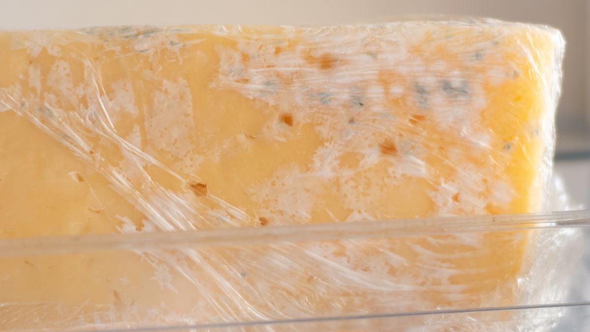 Ser żółty z pleśnią