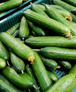 Spleśniałe ogórki miały wjechać do Polski. Oto skąd pochodziły