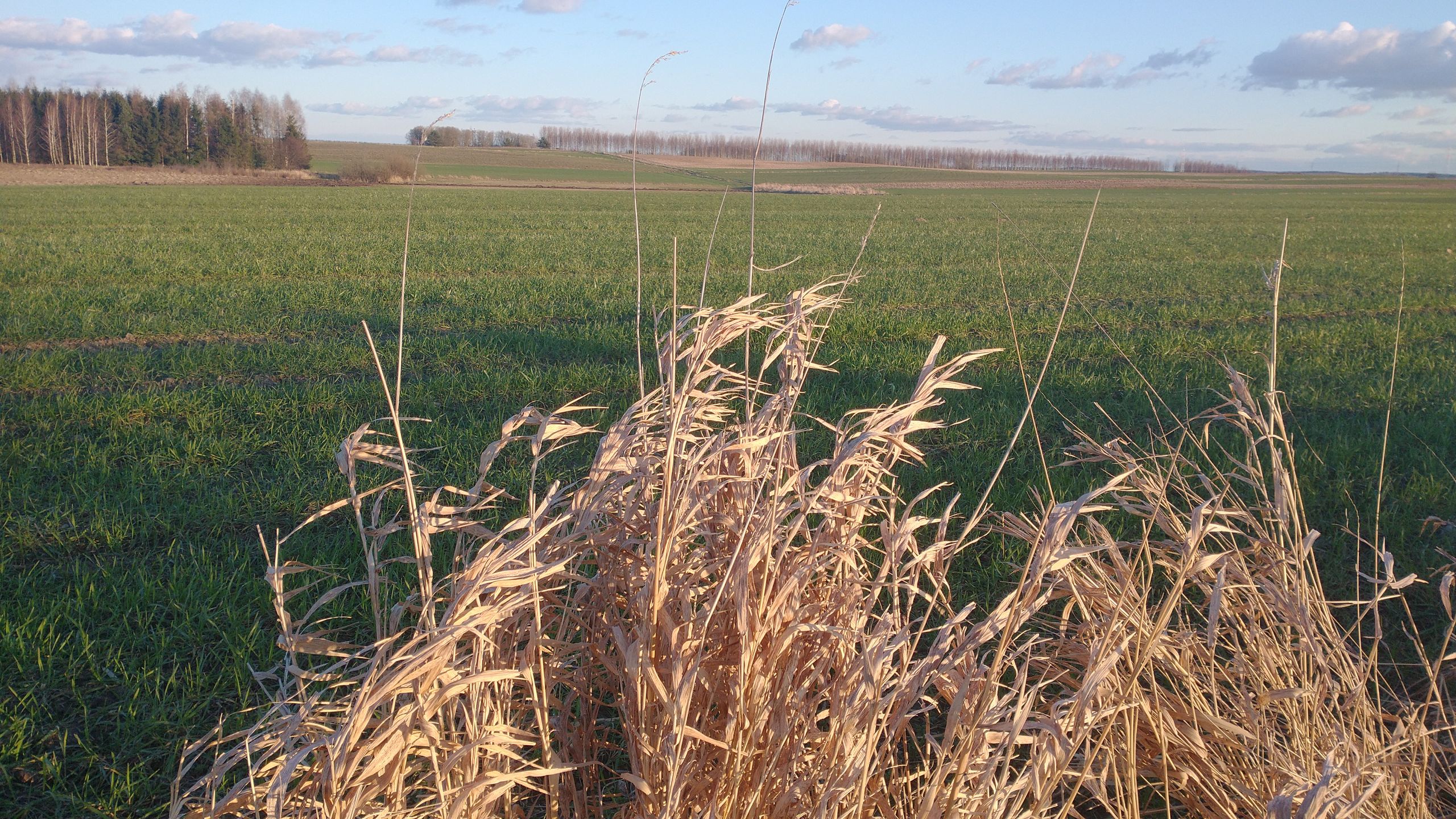 Motorola Moto G8 Power: test telefonu z dużą baterią za 1000 zł 41