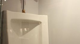 Pisuary dla kobiet - przerost formy nad treścią? 1