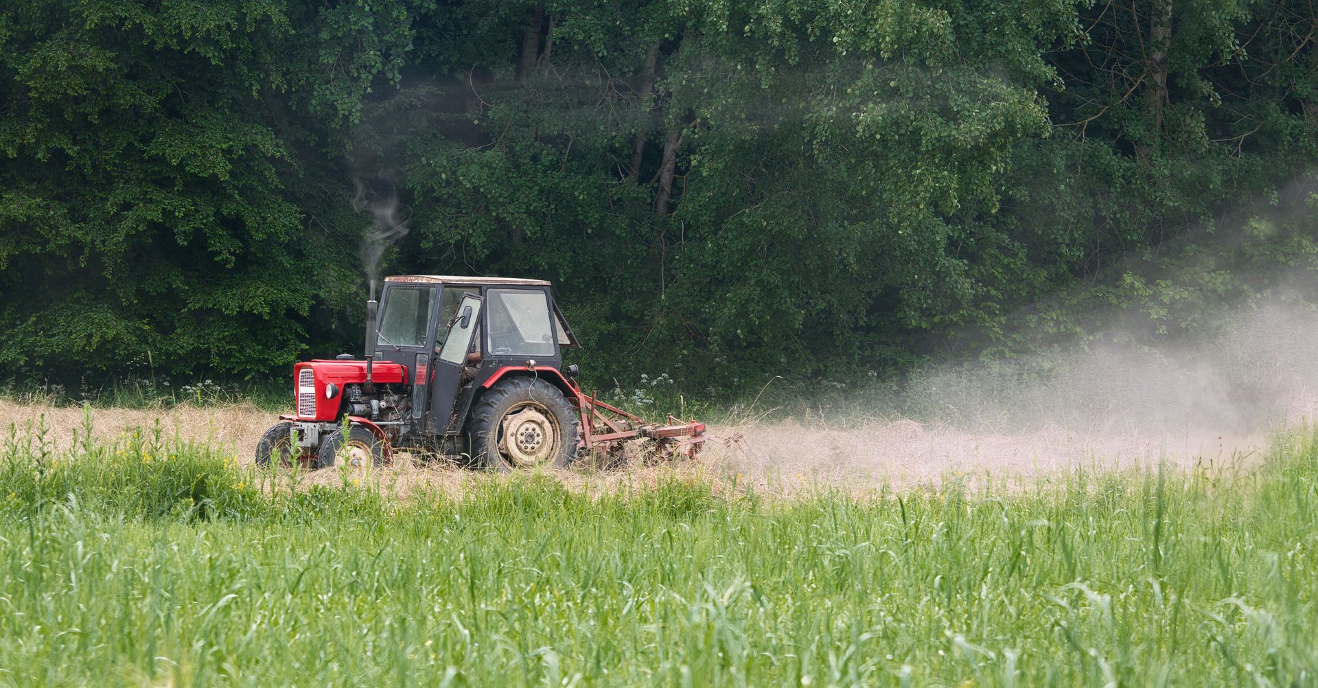 Mają 100 hektarów, muszą pracować na etacie. "Trudno byłoby wyżyć"