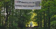 Puszcza Dulowska pominięta przez Ministerstwo. Walczą o nią mieszkańcy
