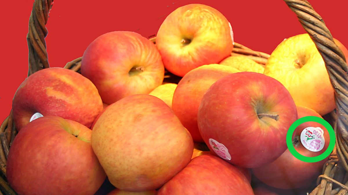 Dzięki naklejce możemy się dowiedzieć, czy produkt jest ekologiczny