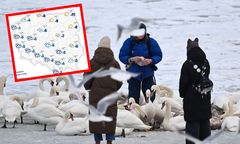 Zima nie odpuszcza. Wraca silny mróz. Miejscami zawieje i zamiecie