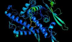 Google rozpoznaje strukturę białek. To ma zmienić życie ludzkości