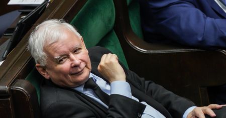 PiS znów na czele. Ekspert o dobrych wynikach: arytmetyka wyborcza i socjal