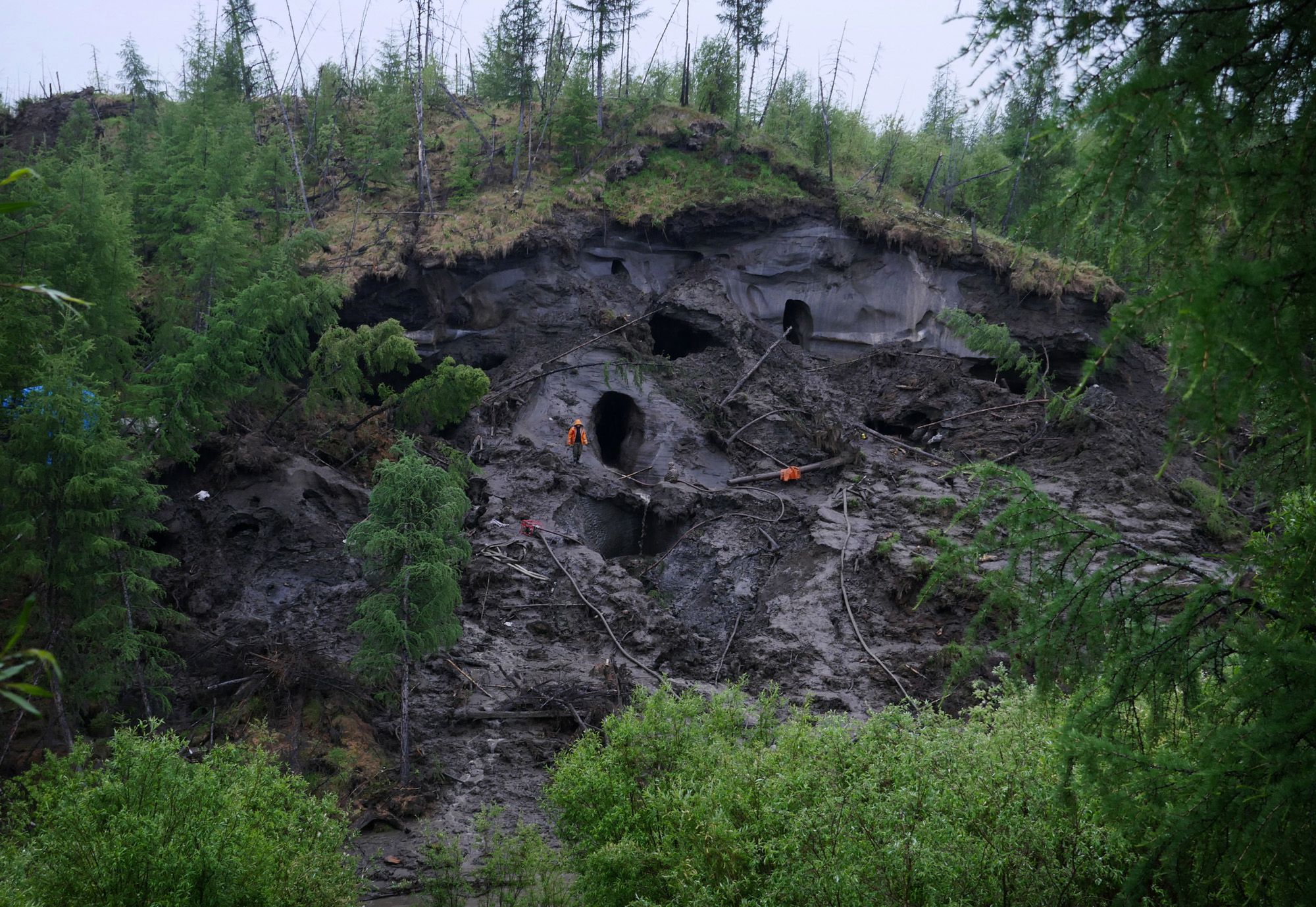 Fotograf spędził 3 tygodnie z kłusownikami... mamutów 6