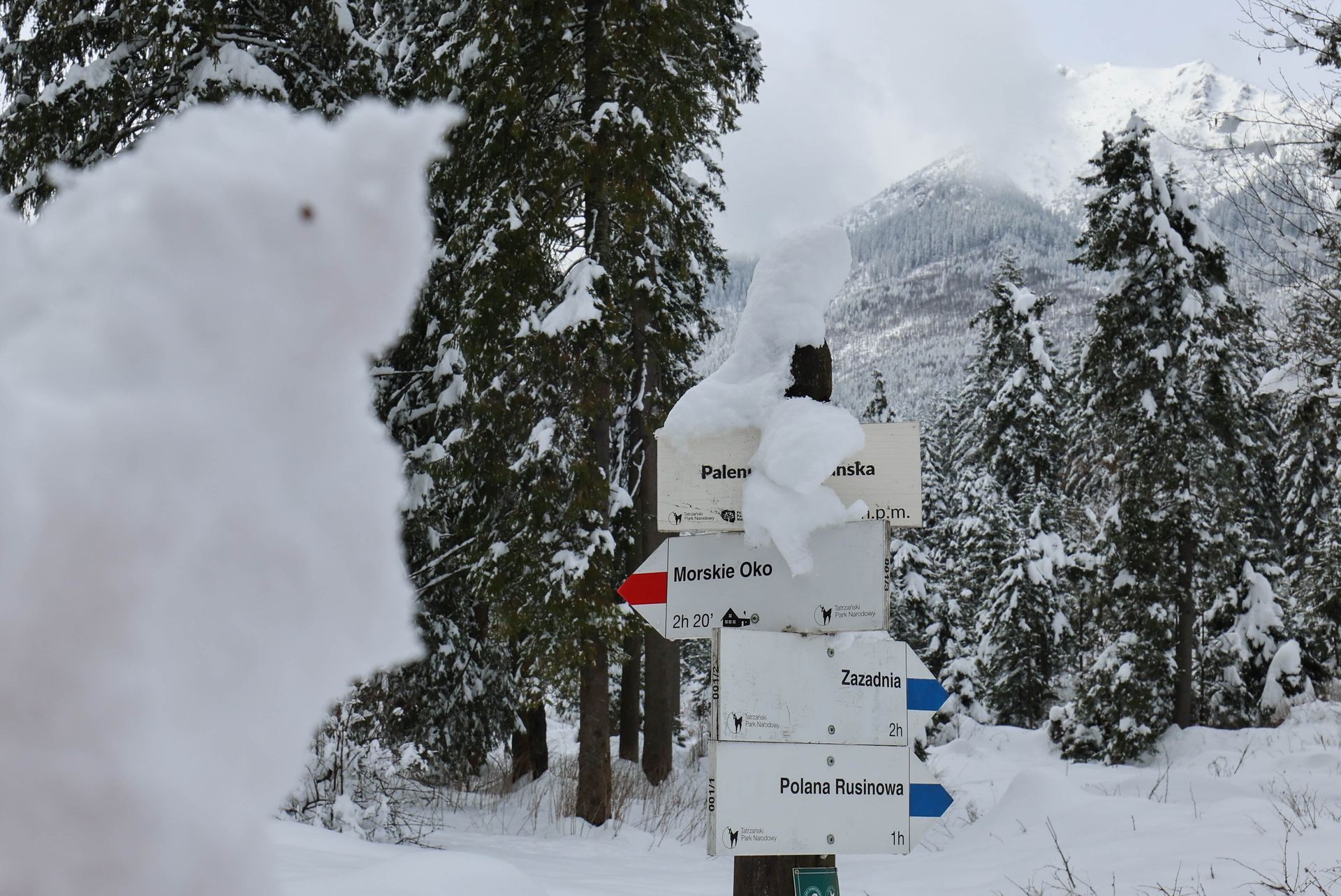 Tatry: szlaki znów otwarte, ale TOPR odradza wyjścia powyżej schronisk