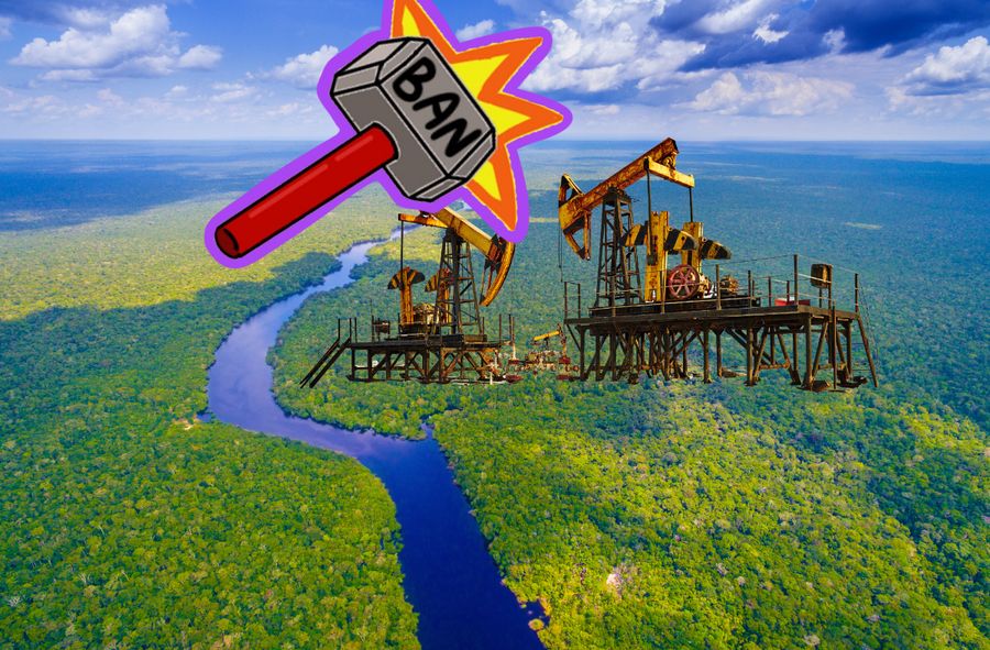 Ekwadorczycy zagłosowali przeciw wydobyciu ropy w Amazonii