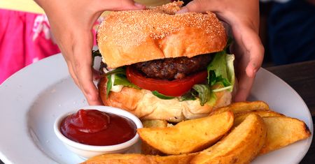 Hamburger
