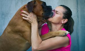 Pies liże cię po twarzy? Wielu nieprawidłowo odczytuje ten gest