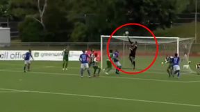 Kuriozalny gol w Danii. Nieudane piąstkowanie bramkarza zakończyło się samobójem (wideo)