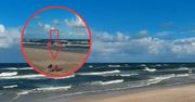 To nie fotomontaż. Kamera uchwyciła ich na plaży w Mrzeżynie