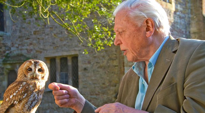 David Attenborough i cuda natury 2