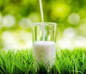 Mleko o obniżonej zawartości tłuszczu (2%) z witaminami A i D