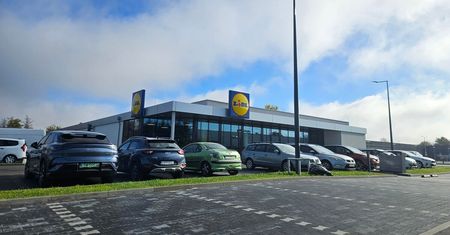 Darmowa pizza, kawa i promocje. Lidl przy ul. Turystycznej otworzy się w przyszłym tygodniu | DATA