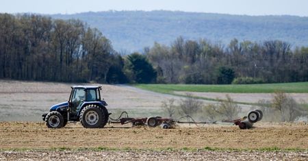 Ciało leżało na polu. Makabryczne odkrycie przypadkowego przechodnia