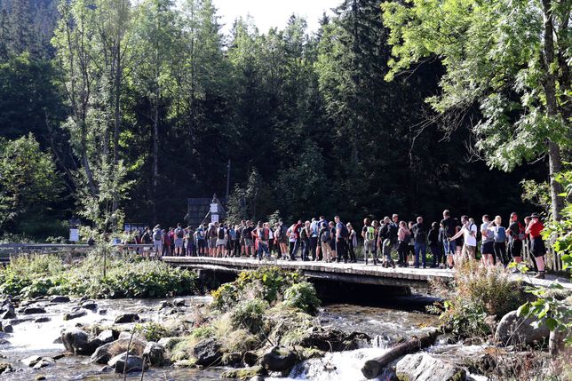 Zakopane, 12.09.2021. Kolejka oczekujących do punktu sprzedaży biletów wstępu do Tatrzańskiego Parku Narodowego w Kuźnicach, 12 bm. w Zakopanem. Słoneczny weekend przyciągnął w Tatry tłumy turystów. (aldg) PAP/Grzegorz Momot
***Zdjęcie do depeszy PAP pt. Małopolska/ Weekendowe oblężenie Tatr; tłumy na szlakach i interwencje TOPR***