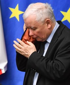 Kaczyński o "cwaniakach". Posłanka tłumaczy