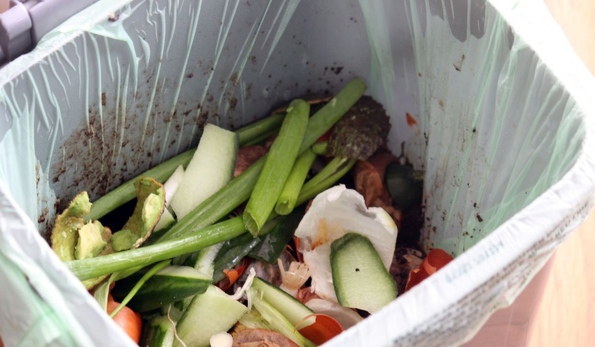 Jedzenie w koszu na śmieci - Pyszności; Foto Canva.com