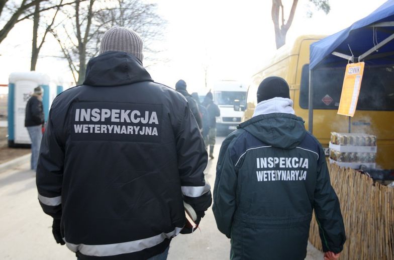 Weterynarze z inspekcji mają dość i domagają się podwyżek.