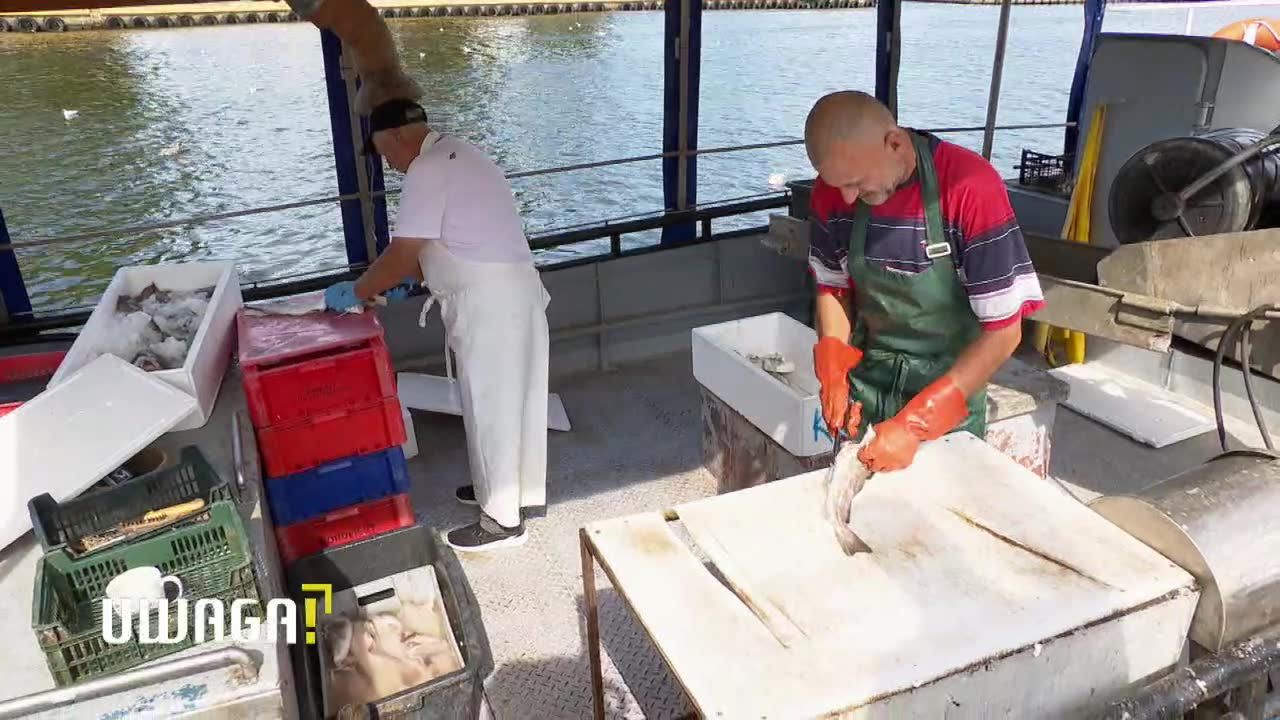 Jakie ryby kupimy nad polskim morzem?